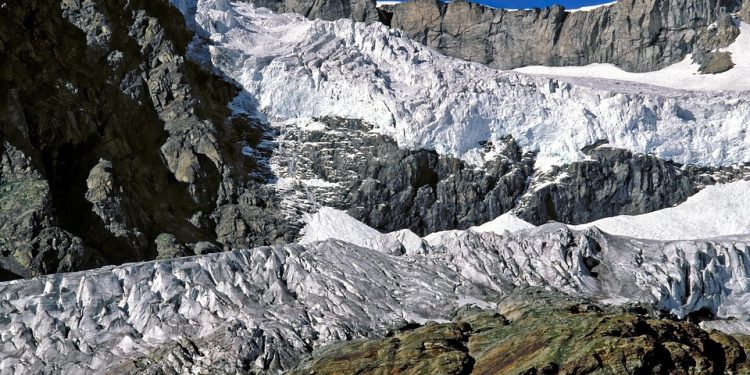 10 Essential Tips to Combat Global Warming and Protect Our Planet