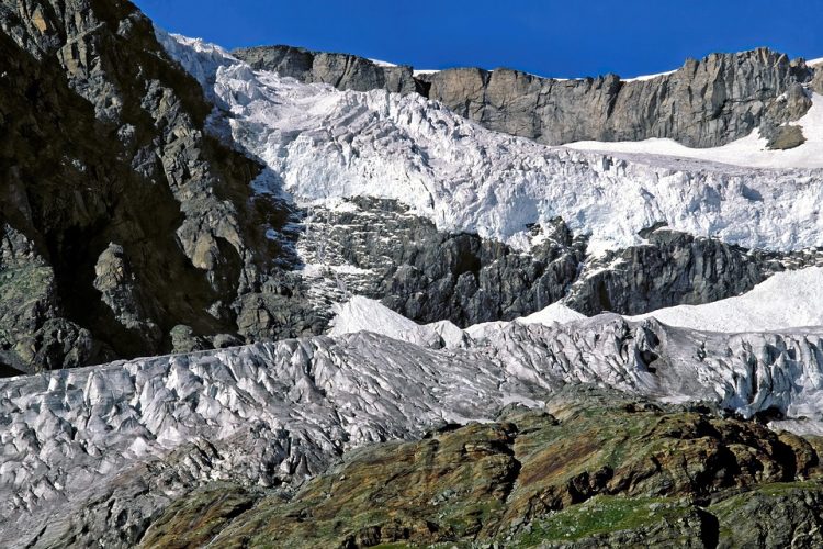 10 Essential Tips to Combat Global Warming and Protect Our Planet