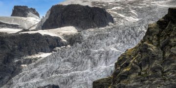Facing the Heat: How Global Warming is Endangering Wildlife Worldwide