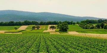 Easy Eco-Friendly Living: 10 Simple Tips for a Sustainable Lifestyle