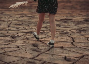 Charting the Course: Examining the Evolving Landscape of Global Climate Policy