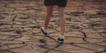 Charting the Course: Examining the Evolving Landscape of Global Climate Policy