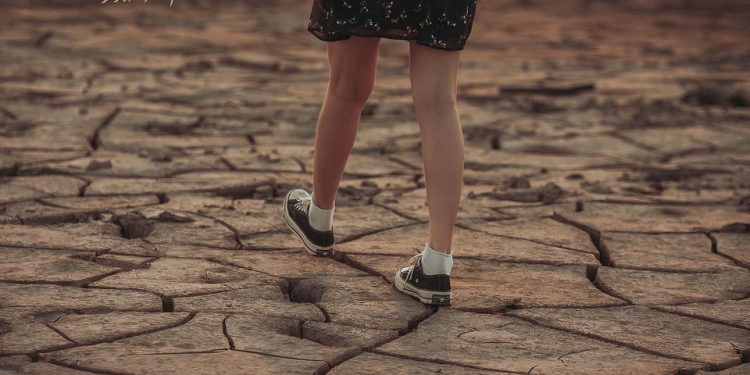 Charting the Course: Examining the Evolving Landscape of Global Climate Policy