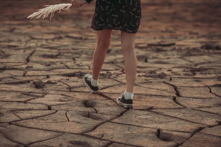 Charting the Course: Examining the Evolving Landscape of Global Climate Policy