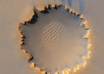 Growing Concerns: The Impact of Climate Change on Agriculture