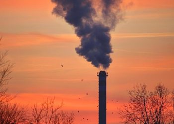 The Silent Killer: How Global Warming is Impacting Human Health and Well-being