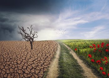Uniting Nations for a Greener Future: The Power of International Climate Agreements