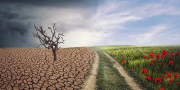 Uniting Nations for a Greener Future: The Power of International Climate Agreements
