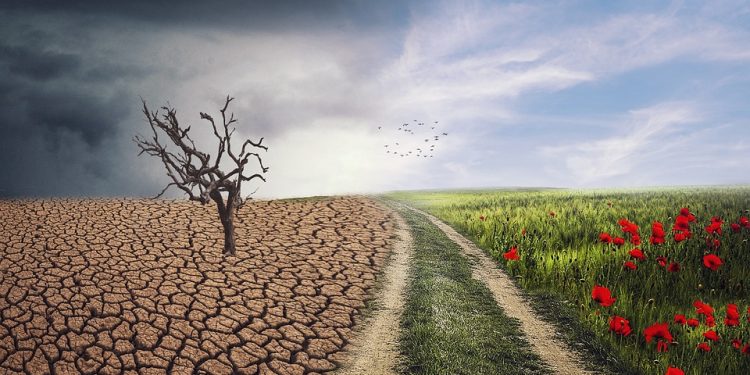 Uniting Nations for a Greener Future: The Power of International Climate Agreements