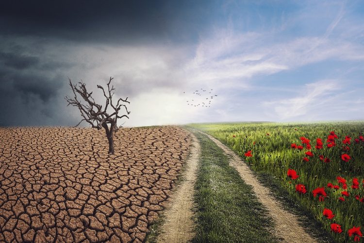 Uniting Nations for a Greener Future: The Power of International Climate Agreements
