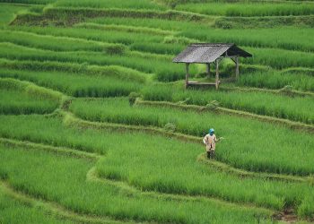 10 Simple Steps to Drastically Reduce Your Carbon Footprint