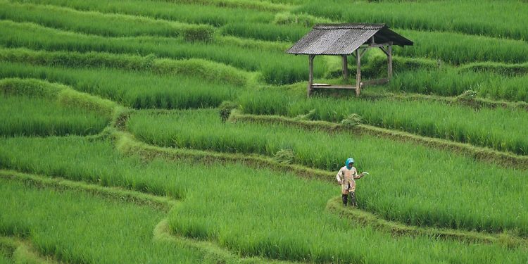 10 Simple Steps to Drastically Reduce Your Carbon Footprint