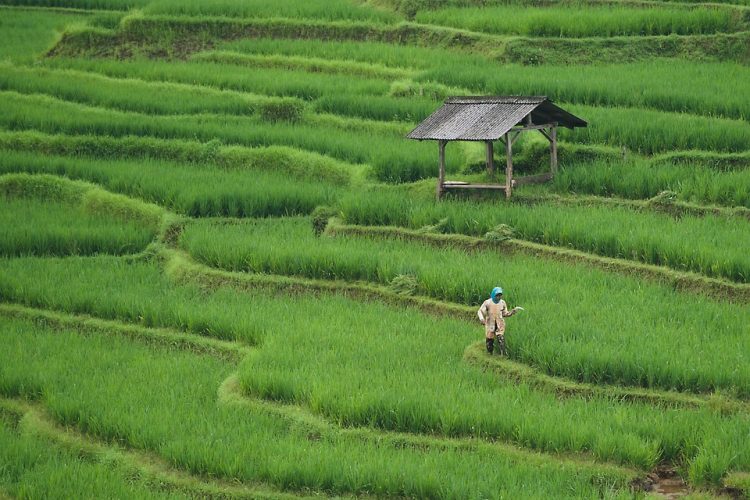 10 Simple Steps to Drastically Reduce Your Carbon Footprint