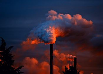 The Silent Crisis: Unveiling the Devastating Effects of Human Activity on our Planet