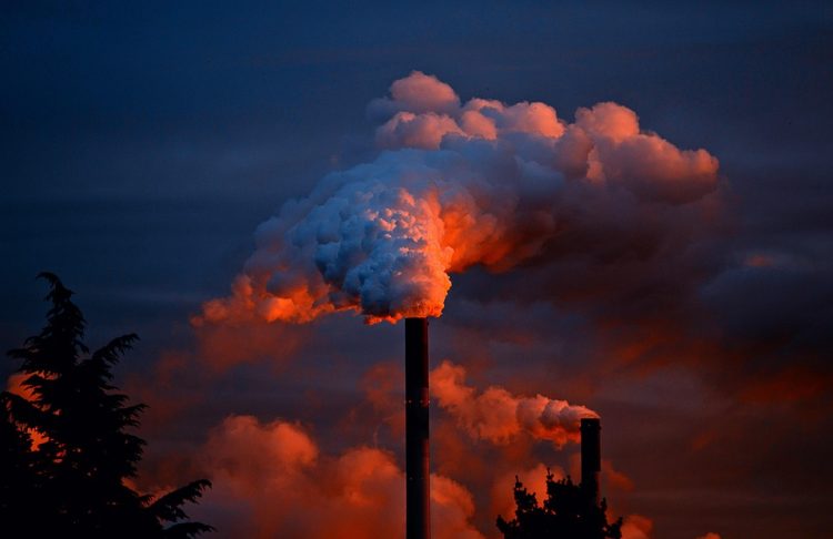 The Silent Crisis: Unveiling the Devastating Effects of Human Activity on our Planet