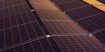 Powering the Future: The Rise of Renewable Energy