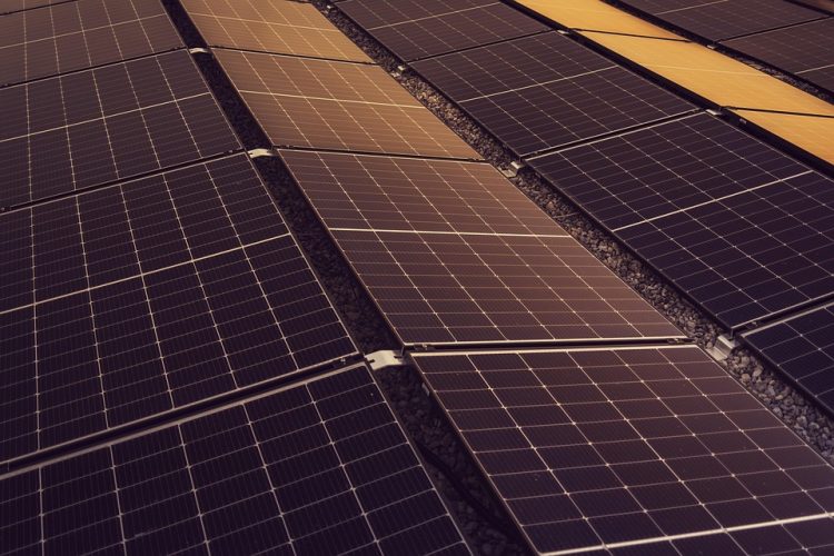 Powering the Future: The Rise of Renewable Energy