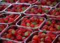 Go Green: Sustainable Shopping Tips for a Greener Future