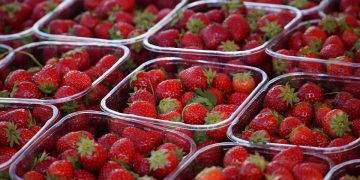 Go Green: Sustainable Shopping Tips for a Greener Future