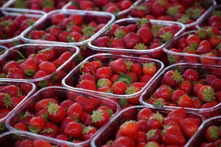 Go Green: Sustainable Shopping Tips for a Greener Future