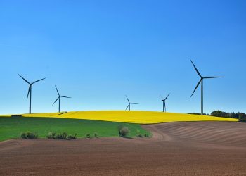 Eco-Conscious Eats: How Sustainable Food Choices Can Transform Your Health and the Planet