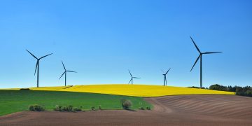 Eco-Conscious Eats: How Sustainable Food Choices Can Transform Your Health and the Planet