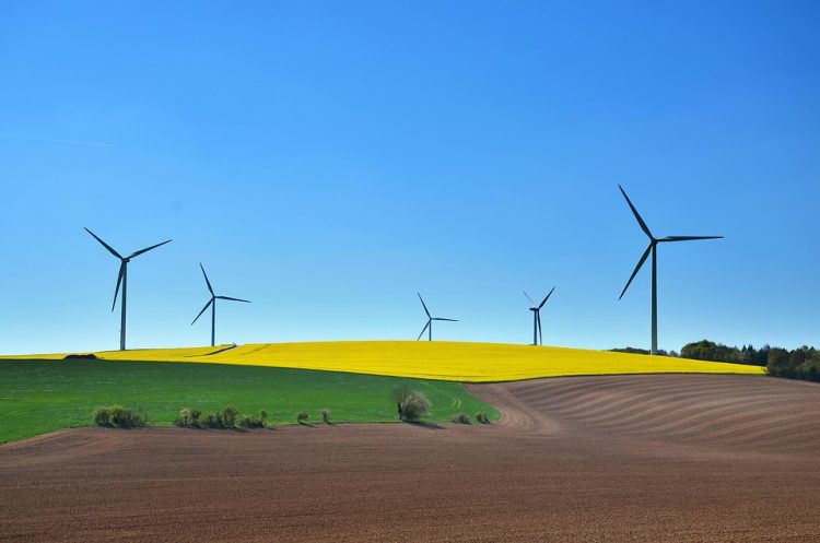 Eco-Conscious Eats: How Sustainable Food Choices Can Transform Your Health and the Planet