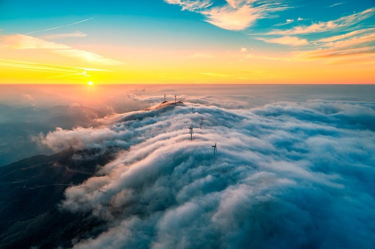 Power Struggle: The Battle Between Solar and Wind Energy