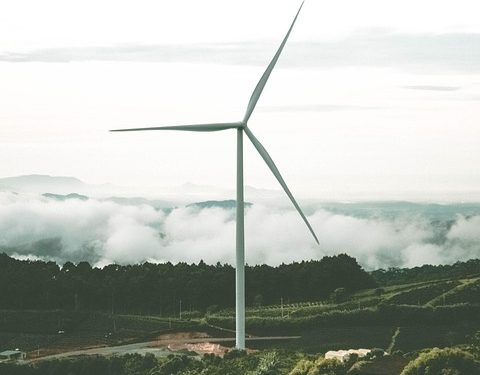Exploring the Top Sustainable Solutions: The Ultimate Guide to Renewable Energy Sources