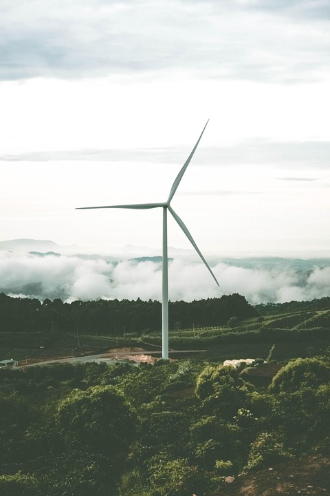 Exploring the Top Sustainable Solutions: The Ultimate Guide to Renewable Energy Sources
