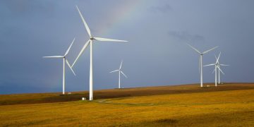 Easy Eco-Living: Simple Tips for a Sustainable Lifestyle