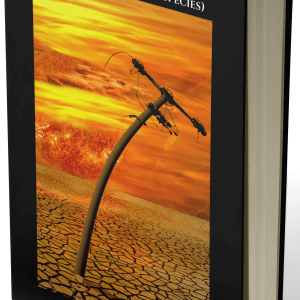 Ebook